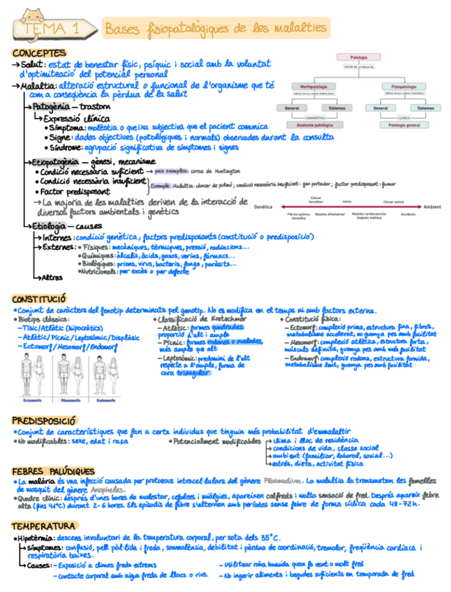 Miniatura del documento Resumen-Fisiopatologia-1-1-8.pdf