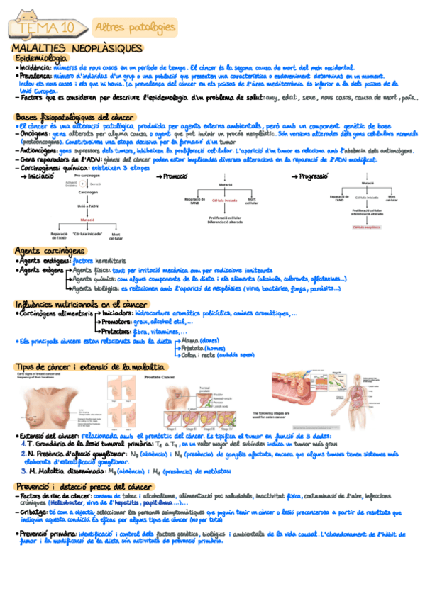 Miniatura del documento Tema-10.pdf