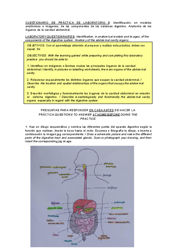 Miniatura del documento PL4.pdf