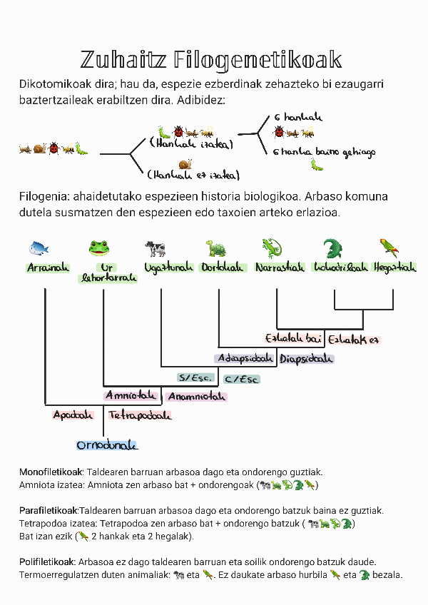 Miniatura del documento Zuhaitz-filogenetikoak-eskema.pdf