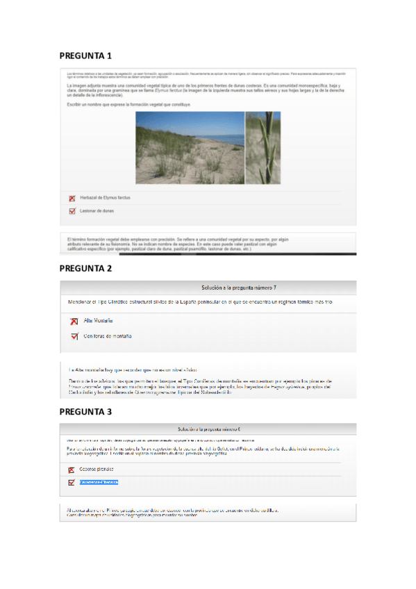 Miniatura del documento Tests-de-Siette-Temas-1-y-2.pdf