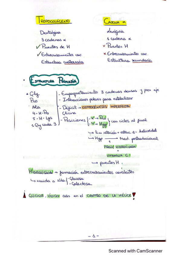 Miniatura del documento T1.pdf