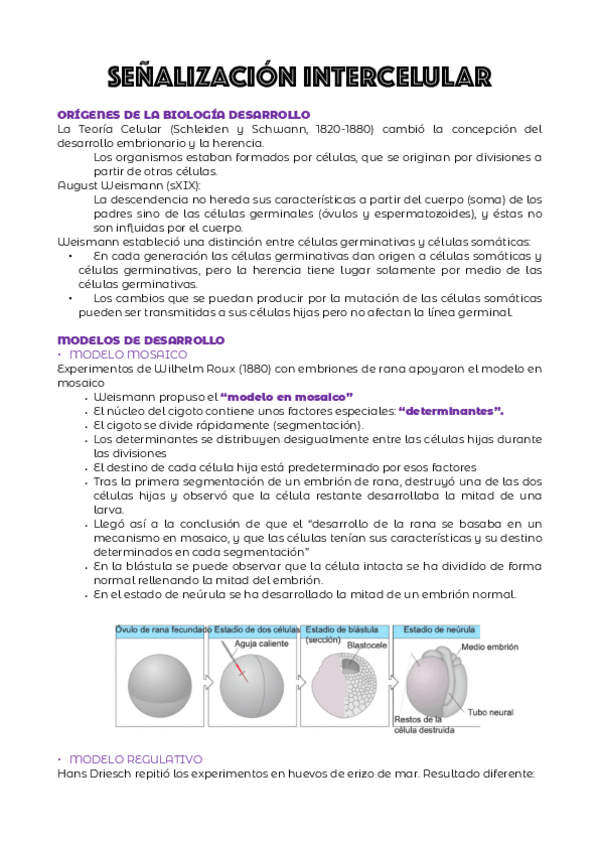 Miniatura del documento TEMA-2.pdf