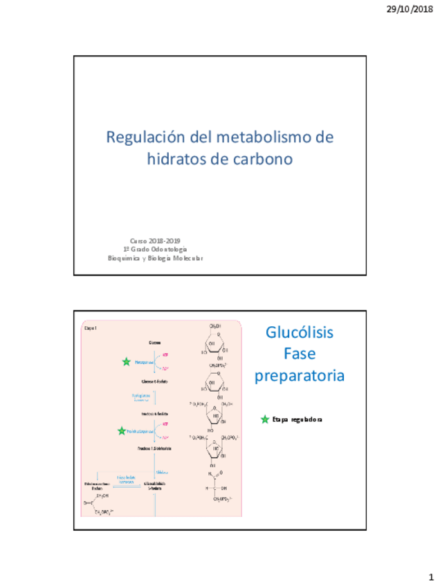 Miniatura del documento Resumen-rutas-metabolicas.pdf