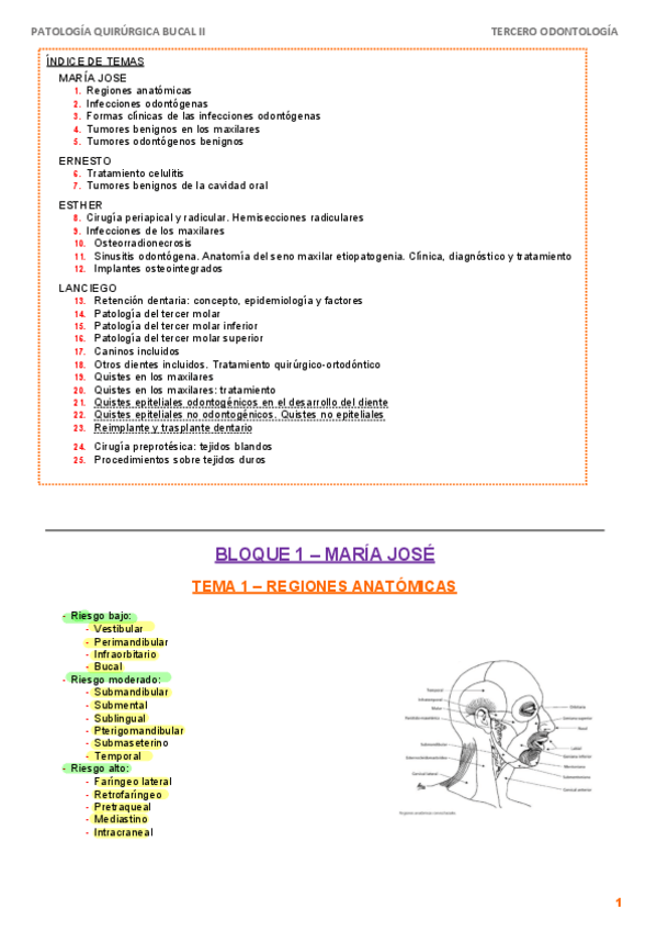 Miniatura del documento APUNTES-QX-II.pdf