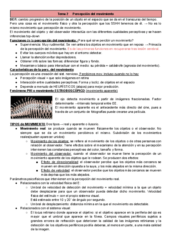 Miniatura del documento T2-Percepcion-y-Atencion.pdf