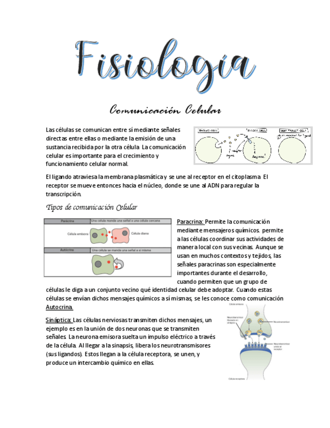 Miniatura del documento Comunicacion-Celular.pdf