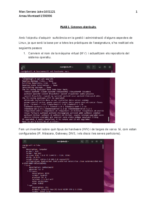 Miniatura del documento Practica 1 SD.pdf