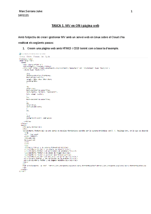 Miniatura del documento Tasca 1 SD.pdf