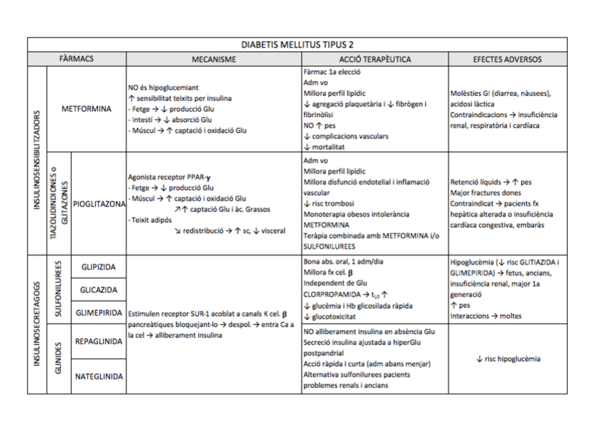 Miniatura del documento DM2.pdf