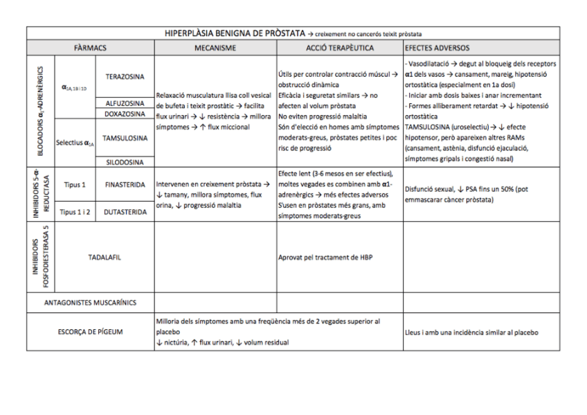 Miniatura del documento Hiperplàsia + Disfunció.pdf