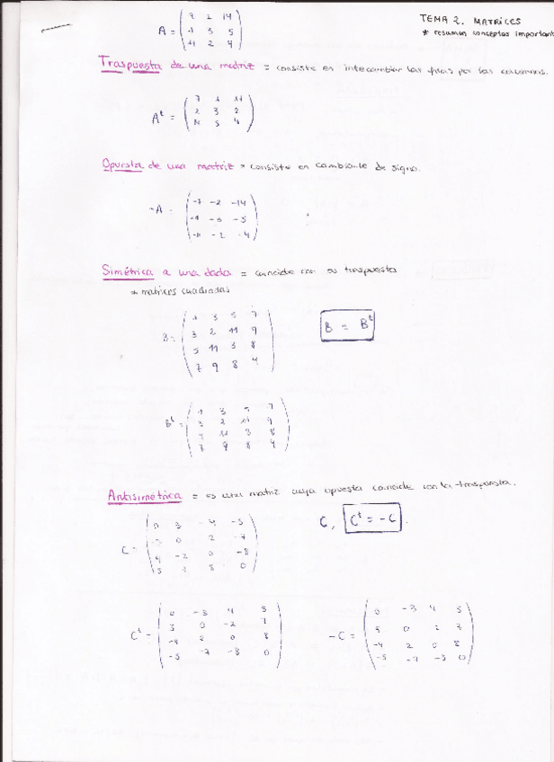 Miniatura del documento Resumen matrices.pdf