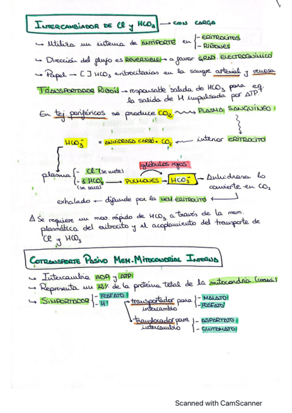 Miniatura del documento T6-parte-2.pdf