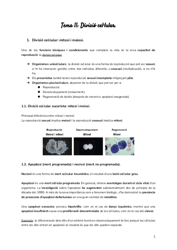Miniatura del documento BLOC-IV-Informacio.pdf