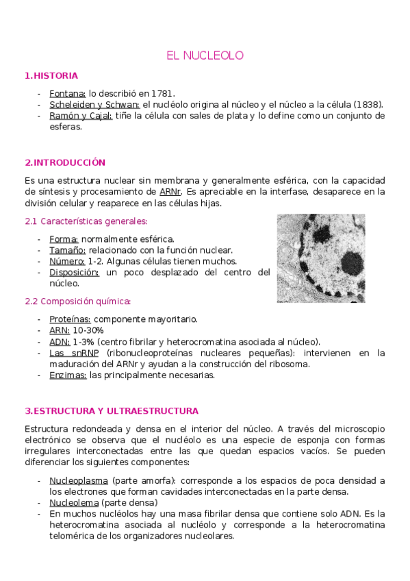 Miniatura del documento T5.-NUCLEOLO.docx