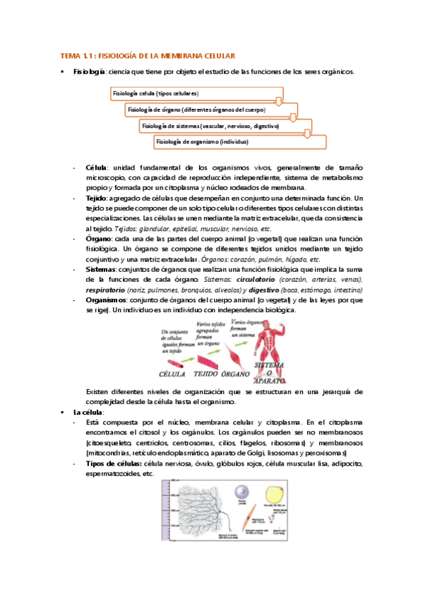 Miniatura del documento Tema-1.1-fisiologia-wuolah.pdf