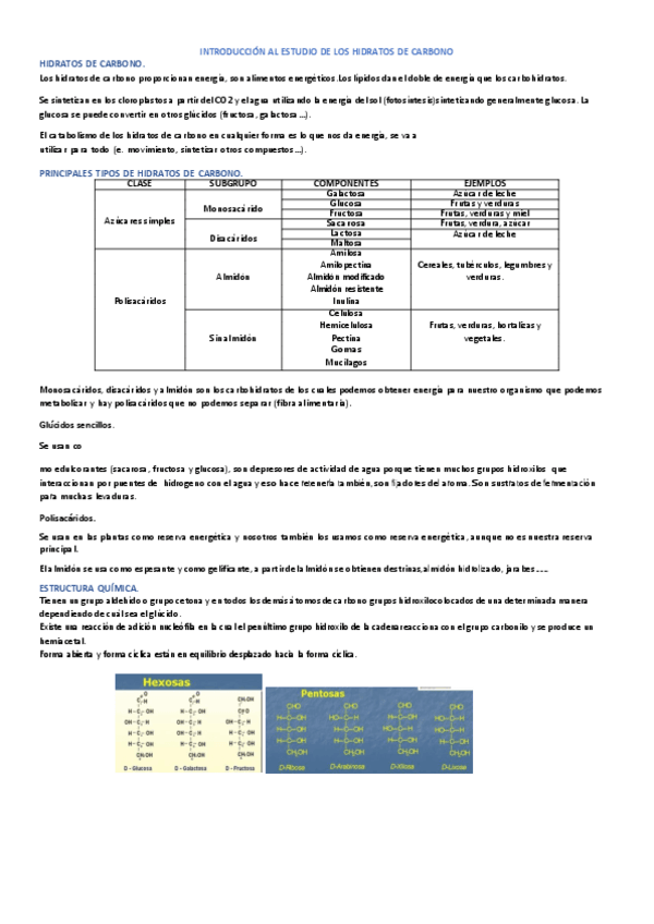 Miniatura del documento t5.-hidratos-de-carbono.pdf
