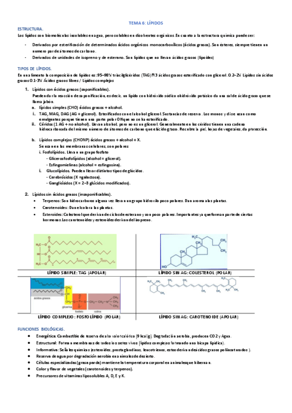 Miniatura del documento t6.-lipidos.pdf