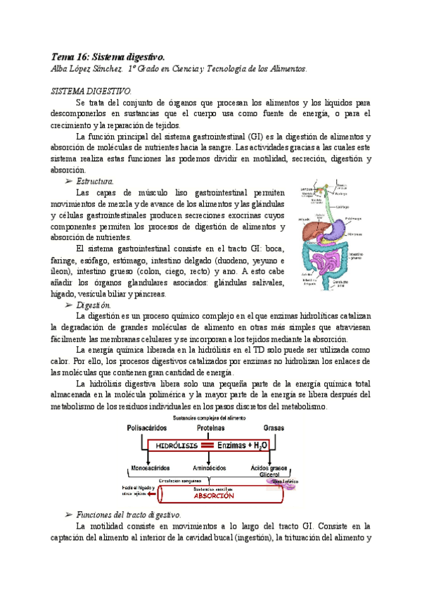 Miniatura del documento AT16-SISTEMA-DIGESTIVO.pdf