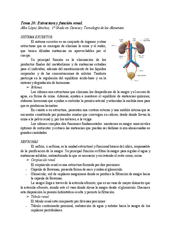 Miniatura del documento AT20-ESTRUCTURA-Y-FUNCION-RENAL.pdf
