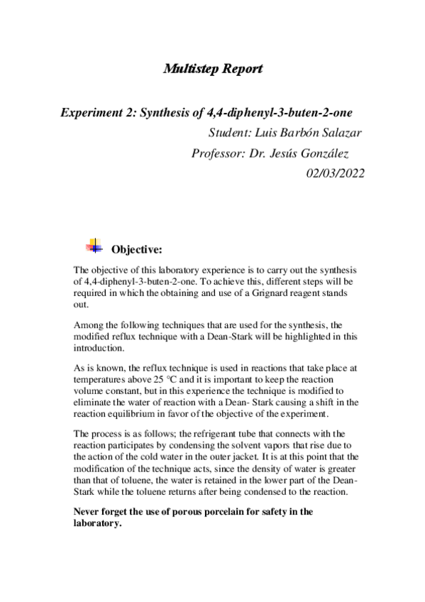 Miniatura del documento Informe-Multistep.pdf