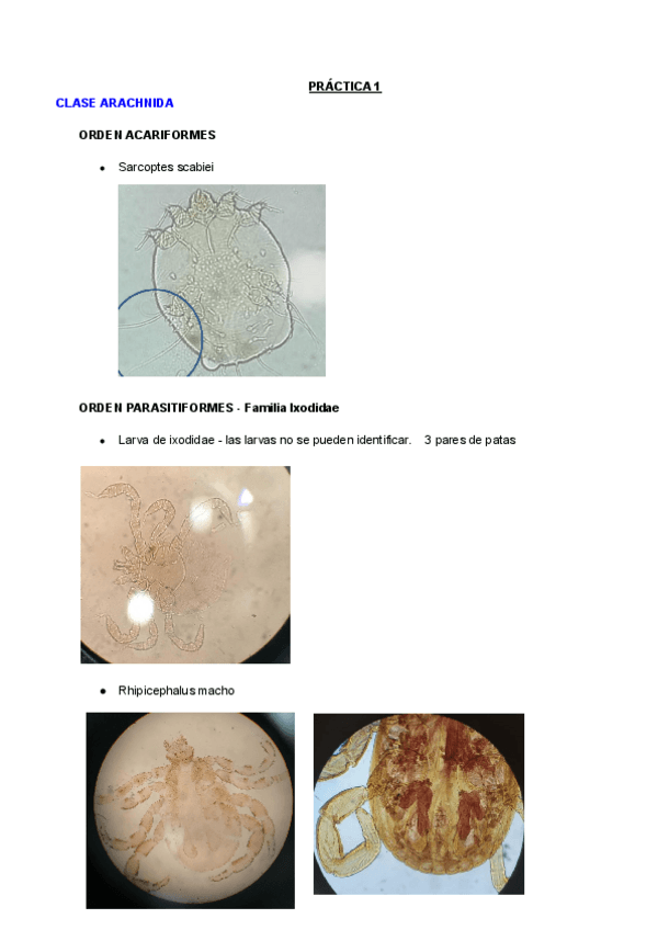 Miniatura del documento FOTOS-PRACTICAS-SEMANA-1.pdf