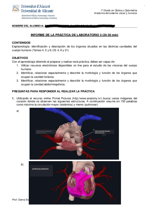 Miniatura del documento ANATOMIA-practica-3.pdf