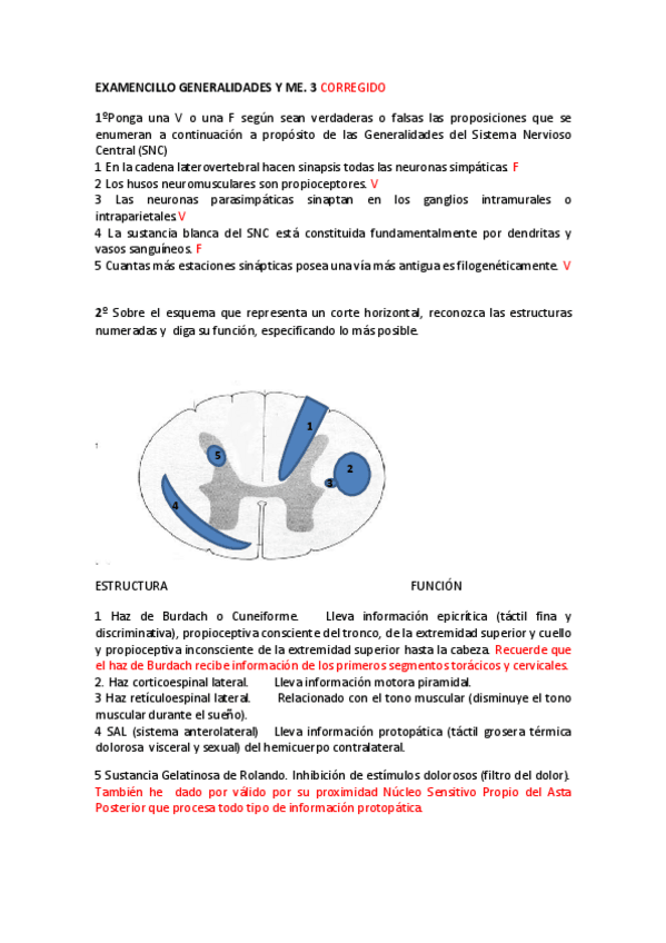 Miniatura del documento 3.-EXAMENCILLO-GENERALIDADES-Y-ME3-CORREGIDO.pdf