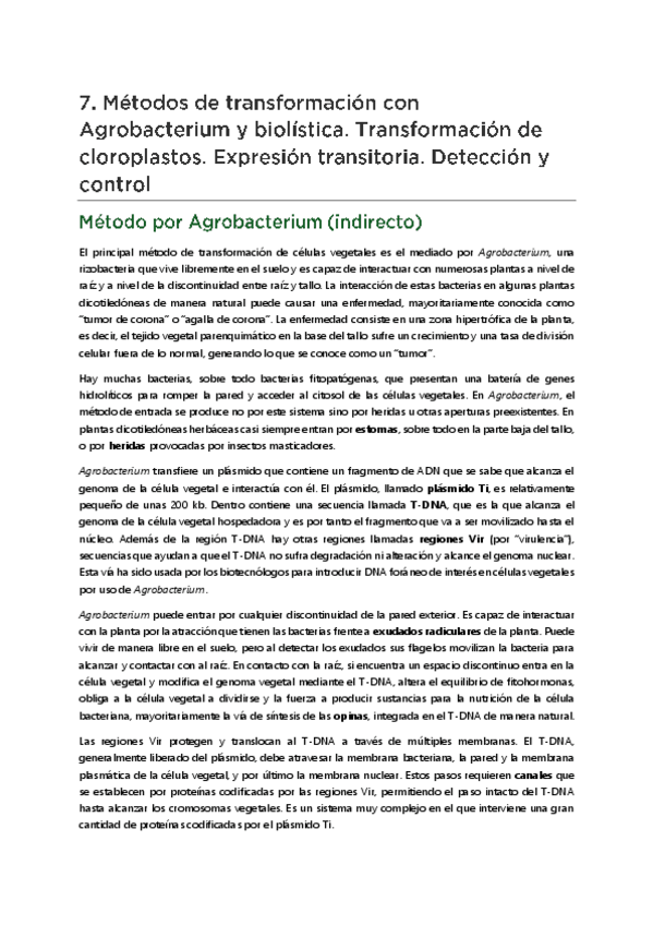 Miniatura del documento T07-Transformacion.pdf