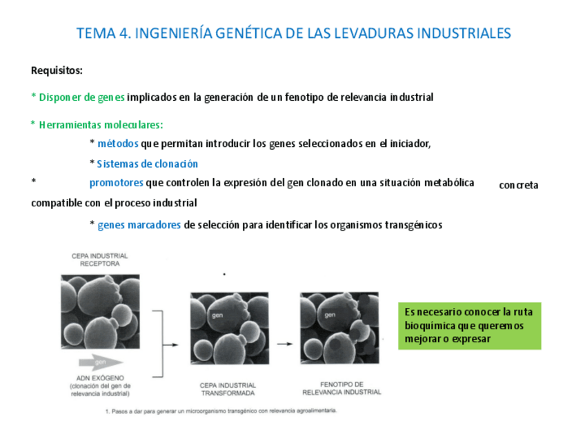 Miniatura del documento Tema-4.pdf