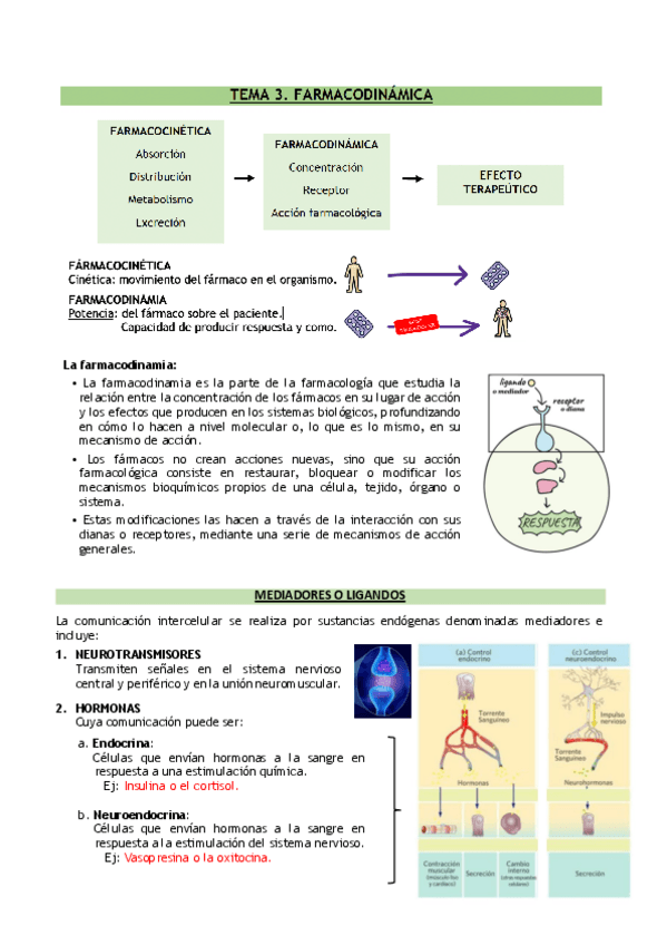 Miniatura del documento Tema-3.-farma.pdf