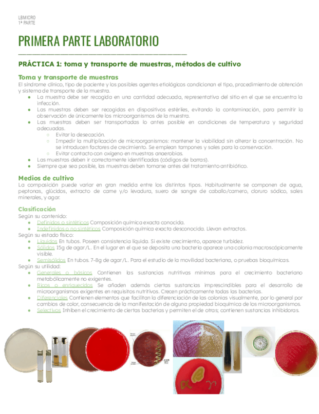 Miniatura del documento LAB-Vol-1.pdf