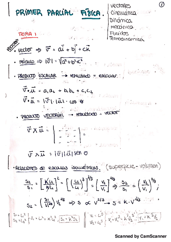 Miniatura del documento formulario temas 1-4  (primer parcial).pdf