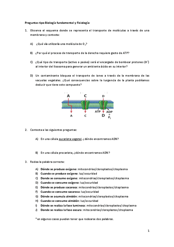 Miniatura del documento Examen tipo.pdf