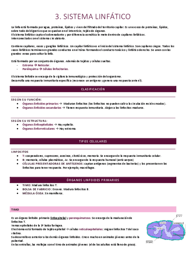 Miniatura del documento Sistema linfático.pdf