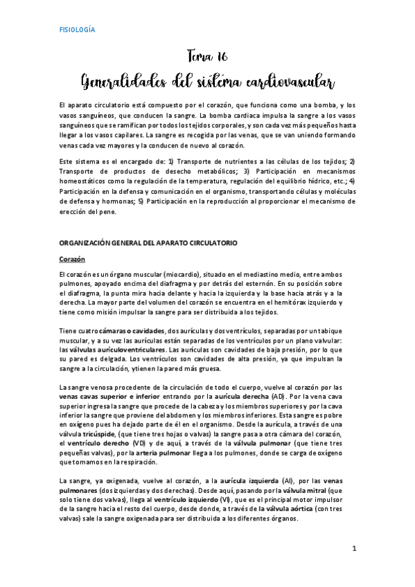 Miniatura del documento Tema-16generalidades-sistema-cv.pdf