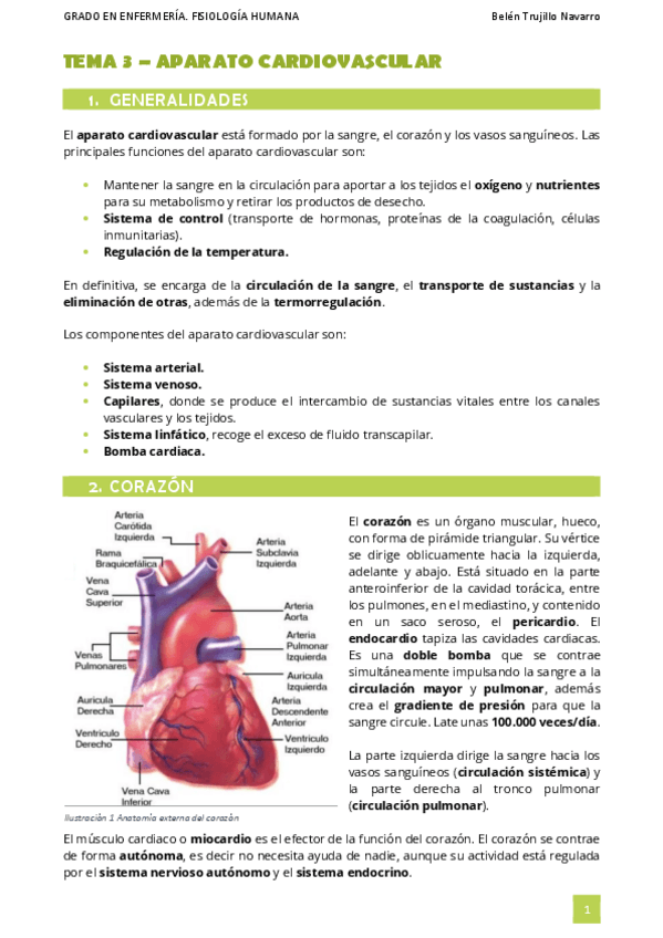 Miniatura del documento FISIO-Tema3-Cardiovascular.pdf