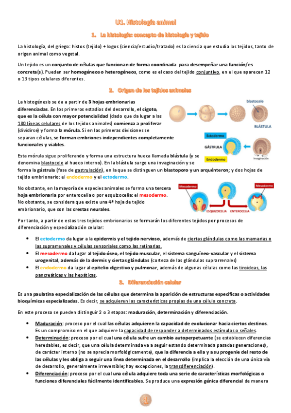 Miniatura del documento U1.-La-histologia.pdf