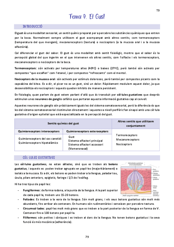 Miniatura del documento Tema-9.-El-Gust.pdf