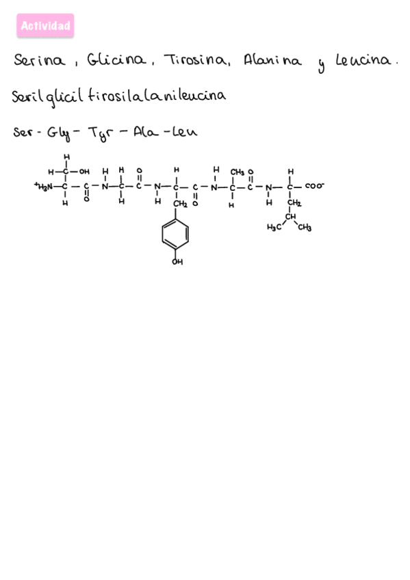 Miniatura del documento Ejercicio-enlace-peptidico.pdf