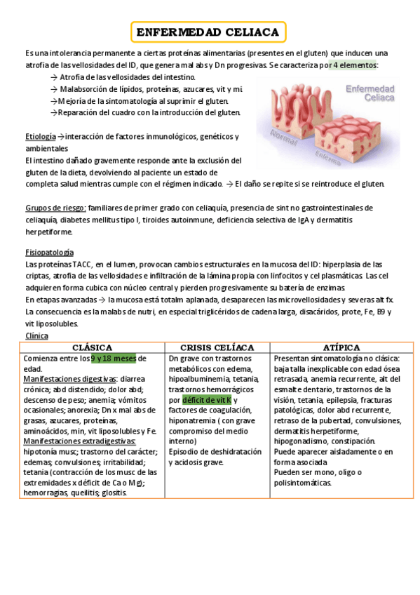 Miniatura del documento ENFERMEDAD-CELIACA.pdf