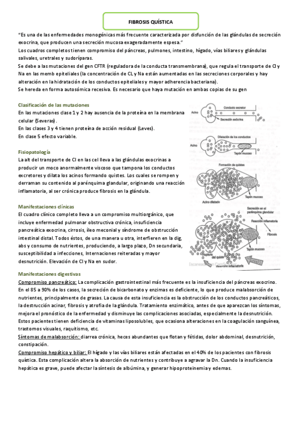 Miniatura del documento FIBROSIS-QUISTICA-patologia.pdf