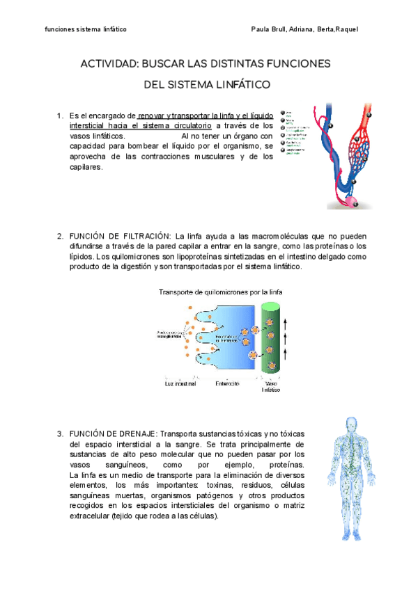 Miniatura del documento funciones-linfa.pdf