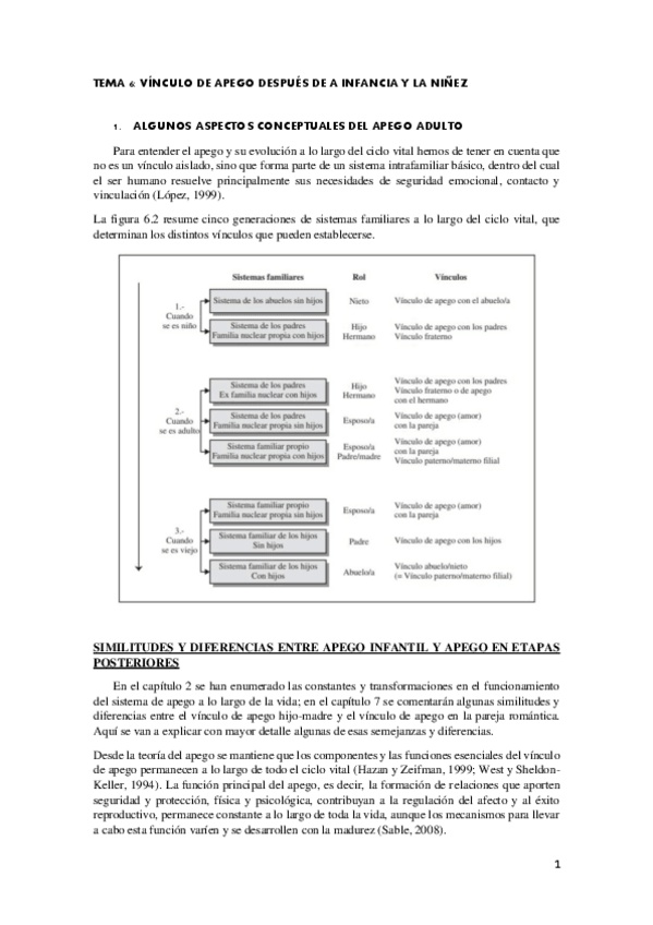 Miniatura del documento Tema-6-Vinculo-de-apego-despues-de-la-infancia-y-ninez.pdf