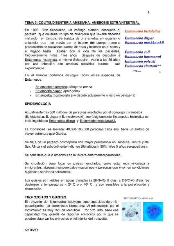 Miniatura del documento AMEBA.pdf