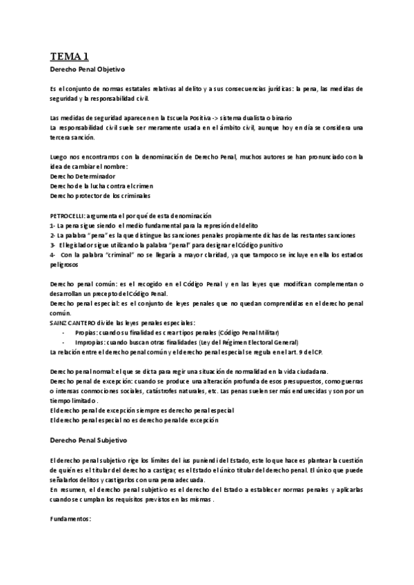 Miniatura del documento derecho-penal-apuntes-manual.pdf