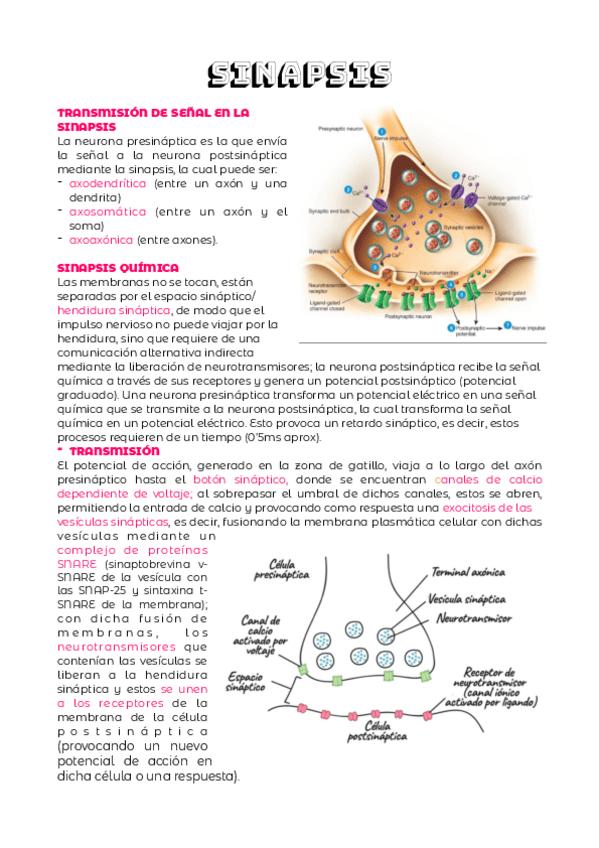 Miniatura del documento TEMA-3.pdf