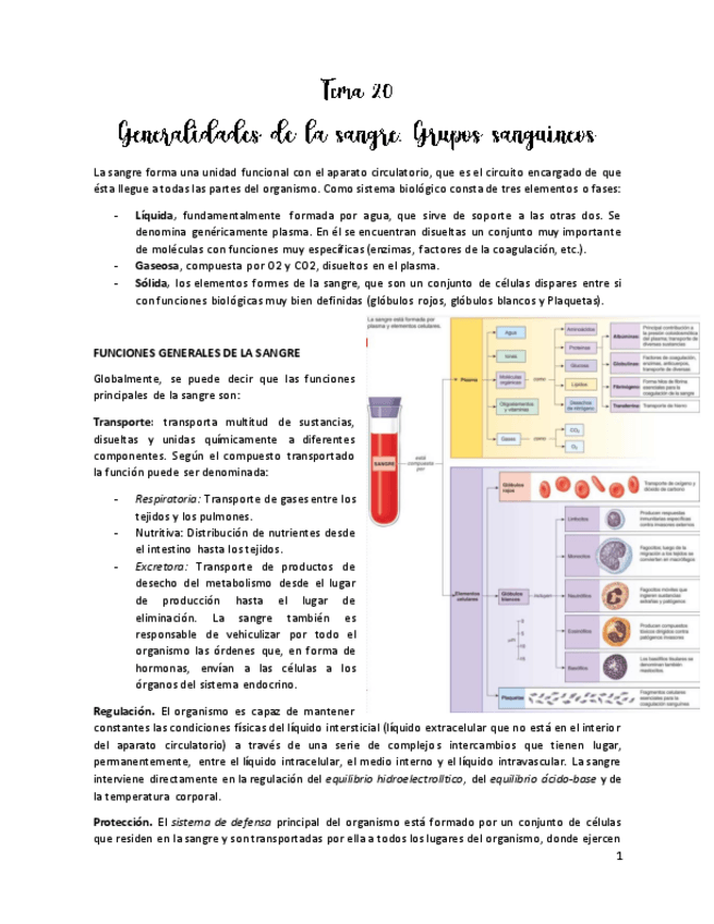 Miniatura del documento Tema-20generalidades-de-la-sangre.pdf