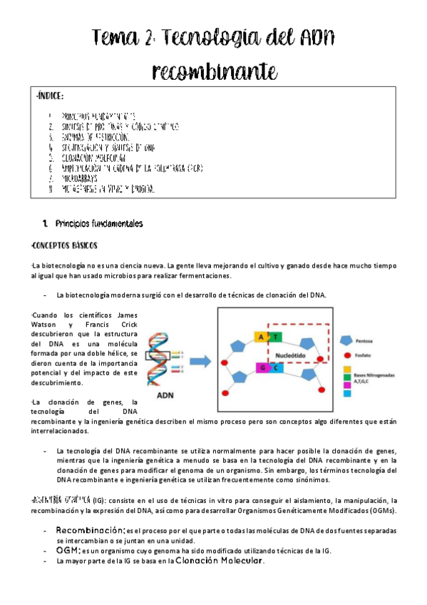 Miniatura del documento tema-2-biotec-microbiana.pdf