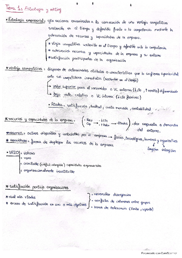 Miniatura del documento TEMA-1.-ESTRATEGIAS.pdf